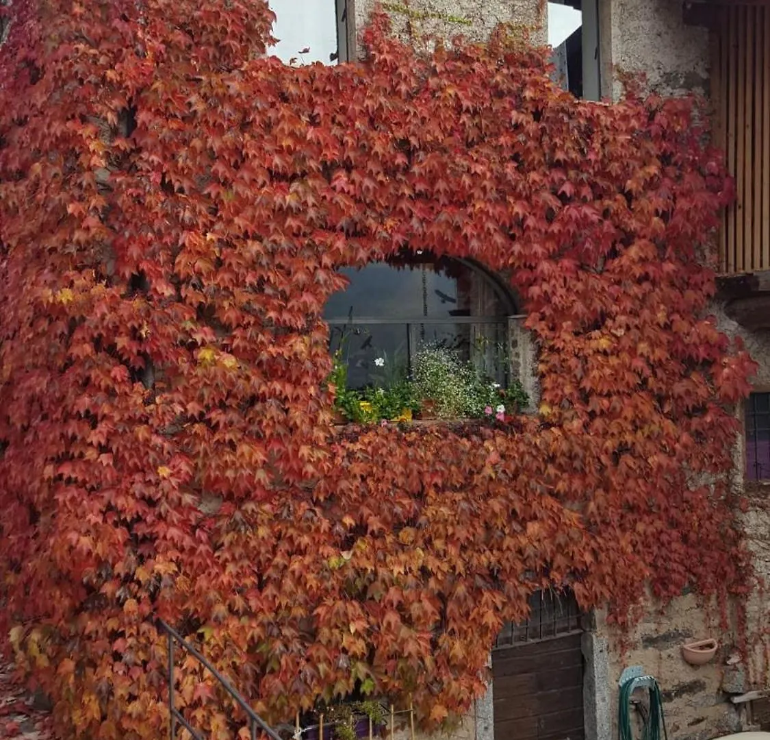 Holiday home Il Fienile Villa Tremosine Italy